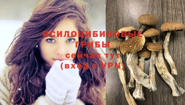 COCAINE Алексеевка