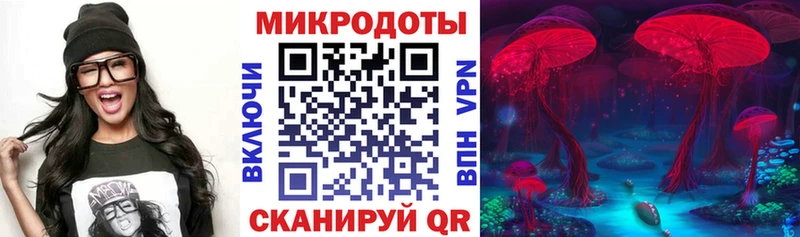 Галлюциногенные грибы Psilocybine cubensis дарк нет как зайти Краснообск купить закладку
